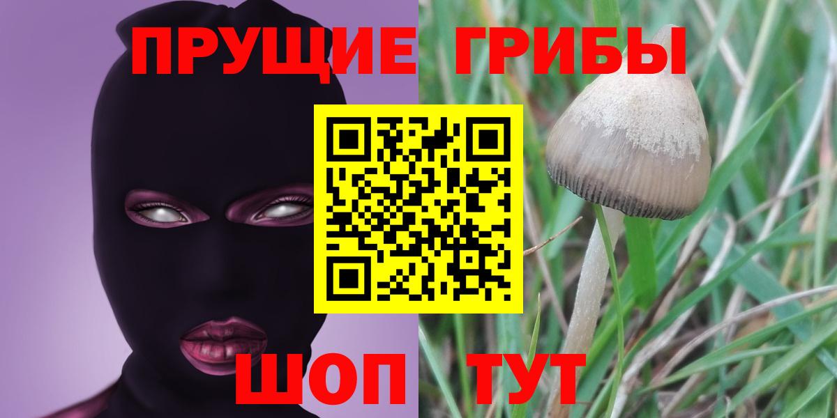 Галлюциногенные грибы мицелий Норильск