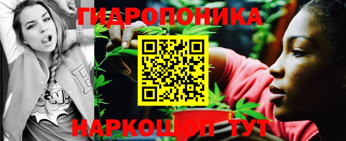 Бошки Шишки тримм  Бошки Шишки индика  Бошки Шишки семена  Норильск  Марихуана план  Вход с VPN 